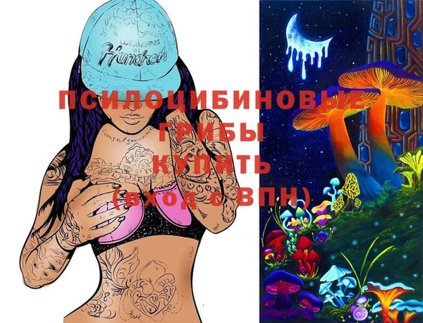 МДПВ Аркадак