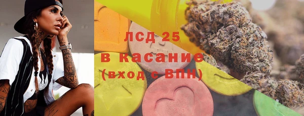 прущие грибы Михайловка