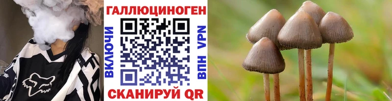 ссылка на мегу ТОР  Скопин  Псилоцибиновые грибы GOLDEN TEACHER 